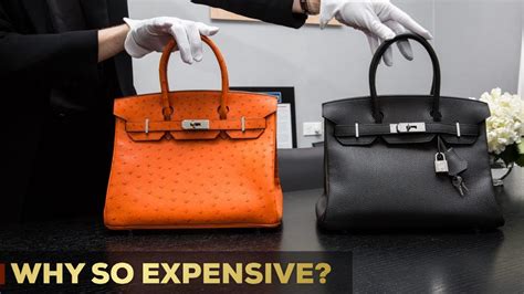 birkins price|why is birkin so expensive.